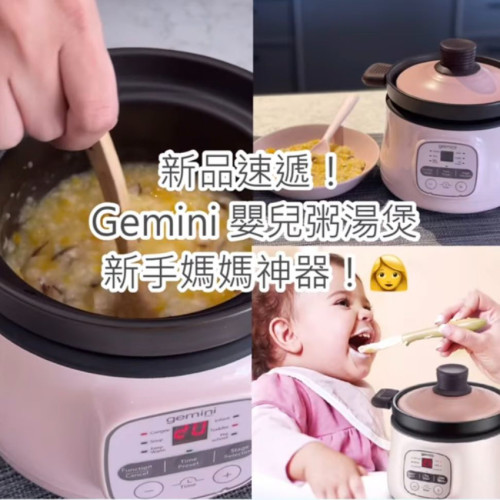 Gemini GSC250 嬰兒粥湯煲